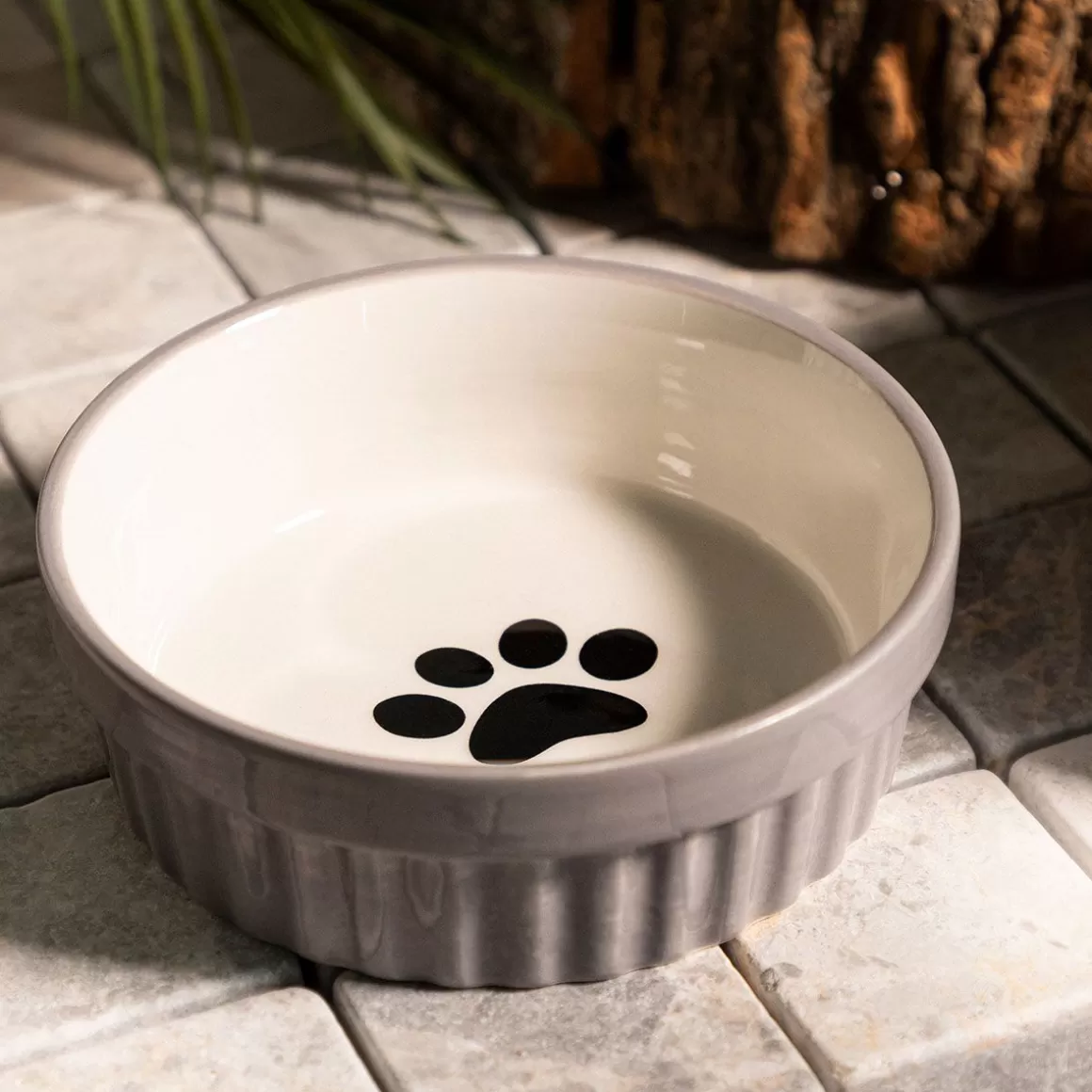 HOMLA Ciotola Elegante per Gatti con Design a Zampa - Grigio Antracite, 12x4 cm
