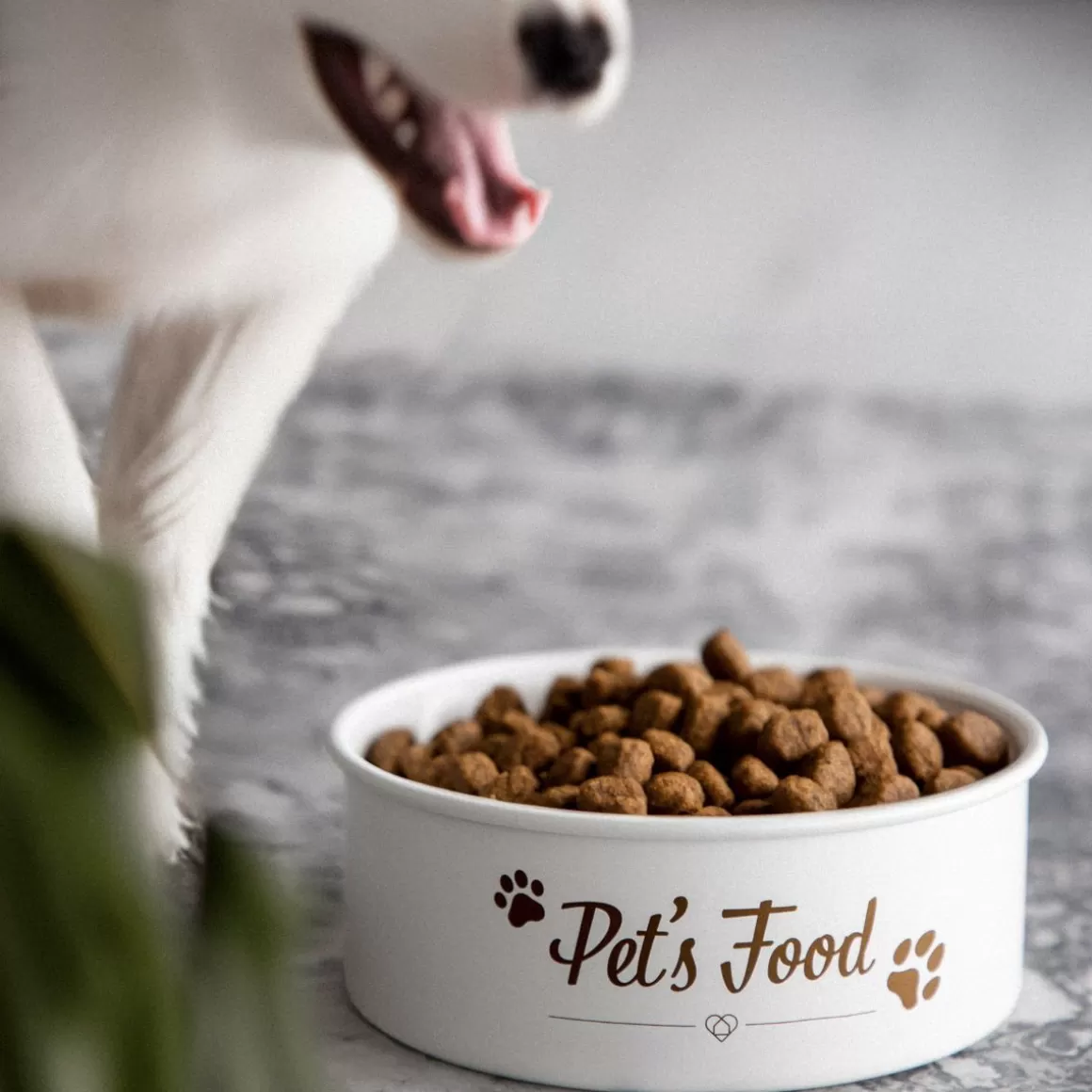 HOMLA Ciotola Alimentazione Antiscivolo per Cani - Serie Dingo, Capacità 1,5 Litri, Design Ergonomico e Resistente