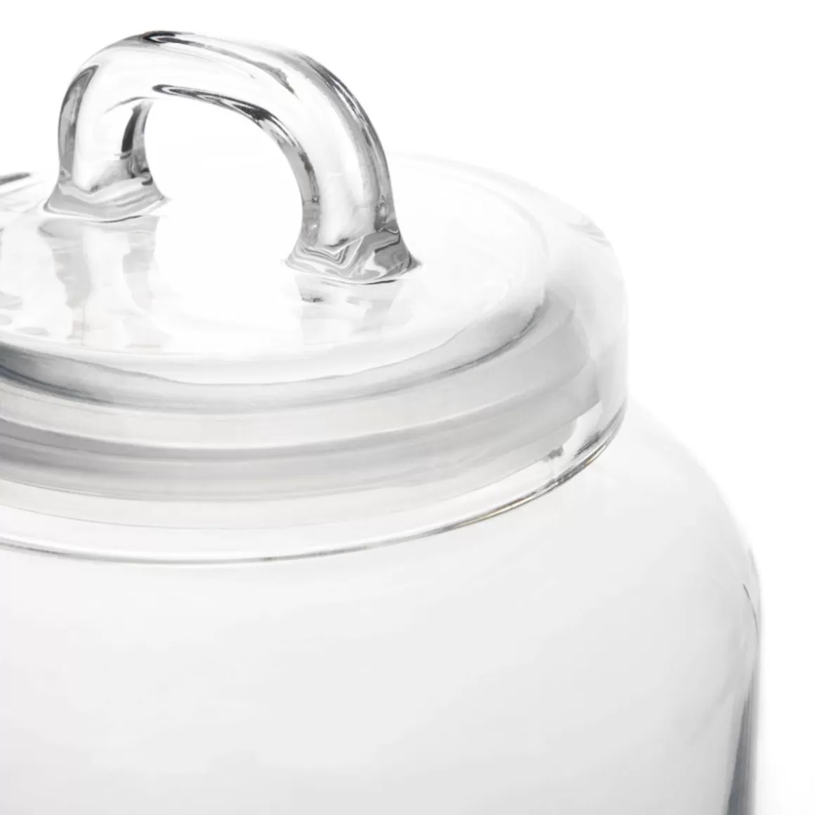 Contenitore Ermetico in Vetro HOMLA Doel - Capacità 3 Litri, Ideale per Conservare Alimenti con Coperchio a Tenuta